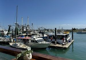 Airlie Beach Harbor